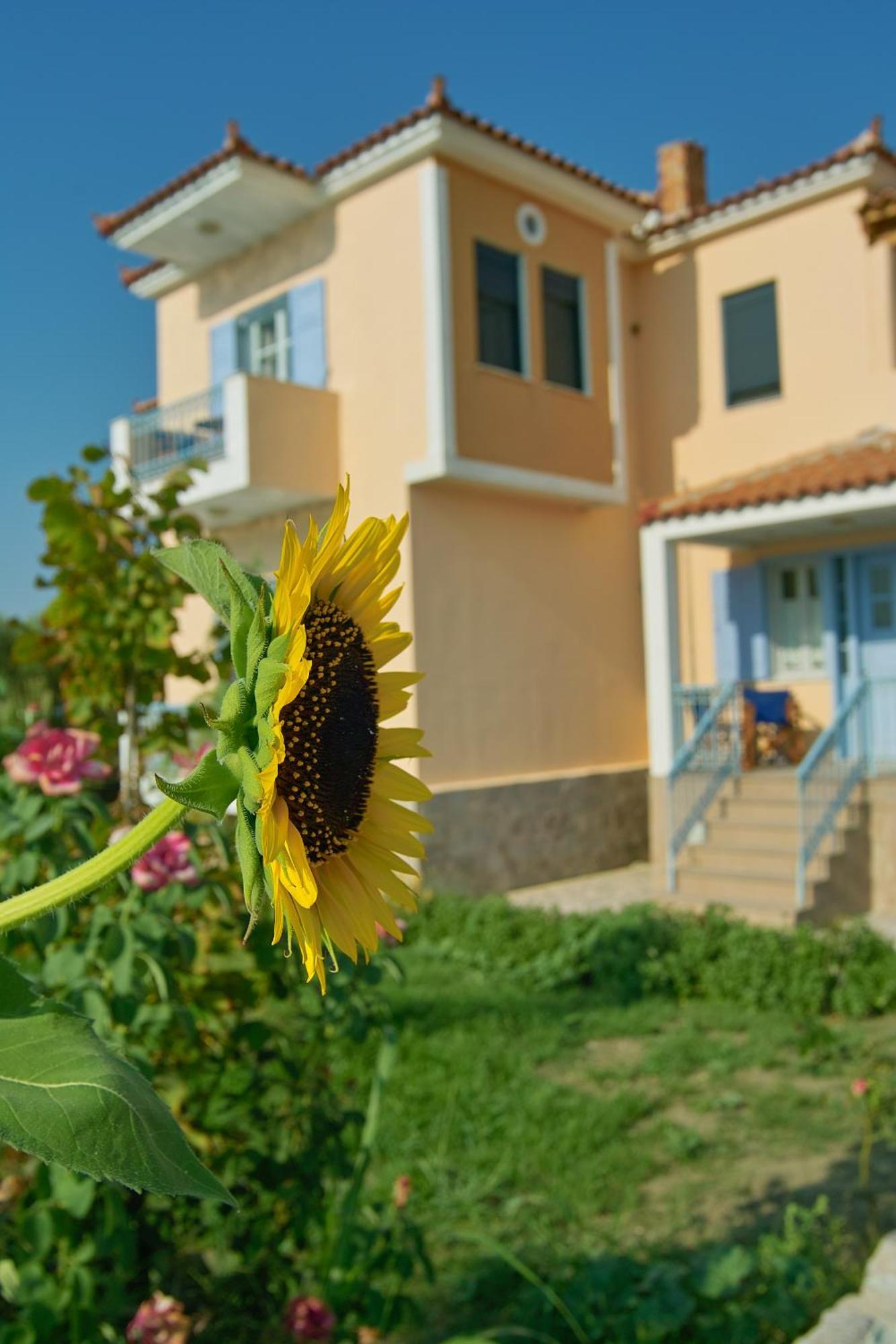 Villa Marita Lisvori Exterior foto