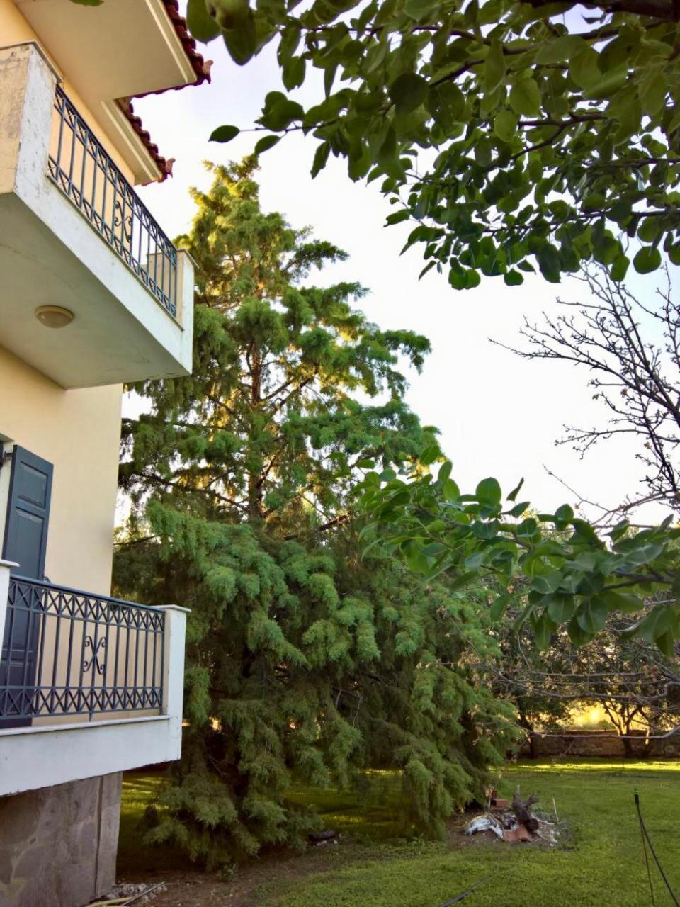Villa Marita Lisvori Exterior foto