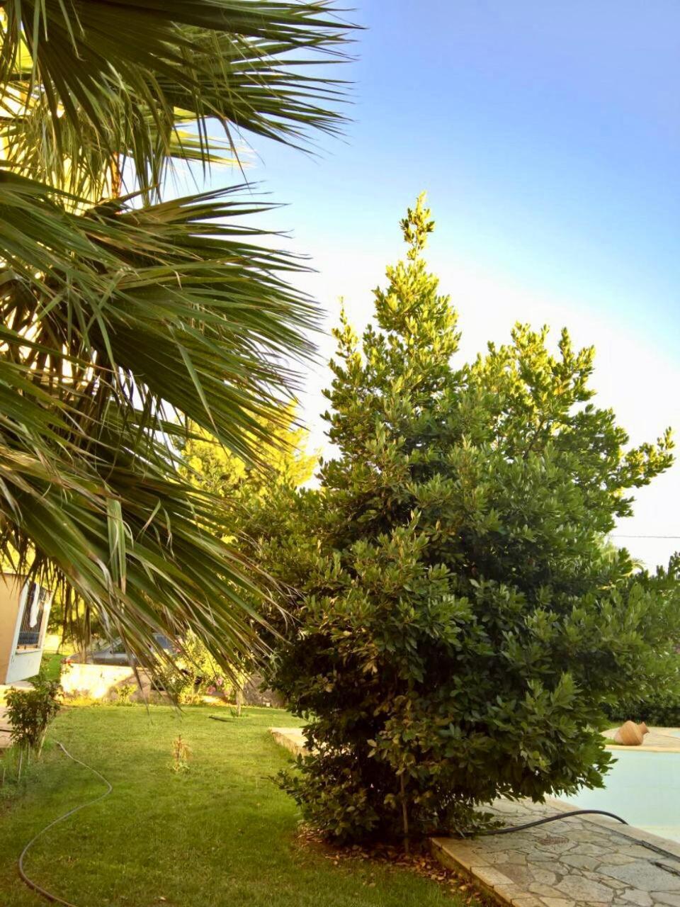 Villa Marita Lisvori Exterior foto