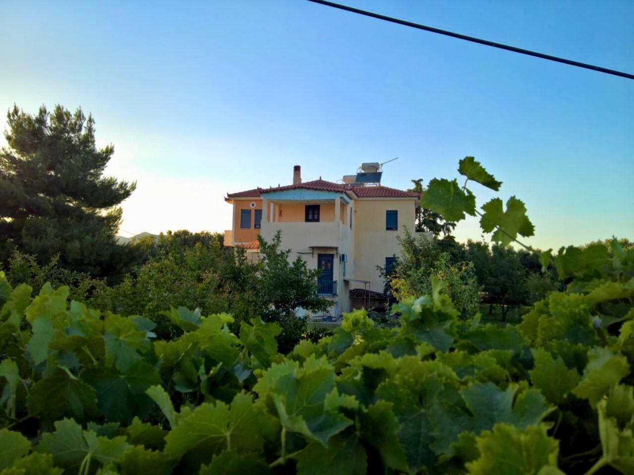 Villa Marita Lisvori Exterior foto
